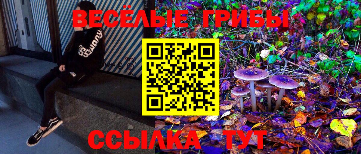 Псилоцибиновые грибы мухоморы Шарыпово