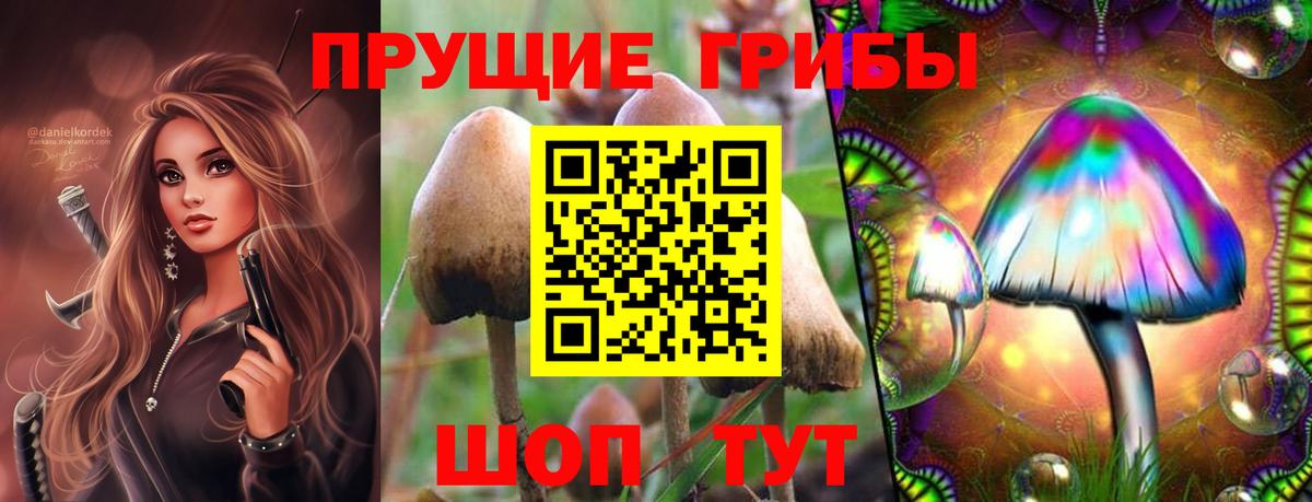 Шарыпово  Галлюциногенные грибы GOLDEN TEACHER  купить  цена  Вход с VPN 